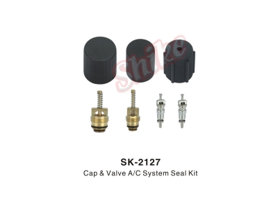 SK-2127